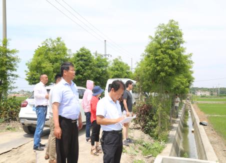 ����չ��ʳ��ɫ���ʸ�Ч�������