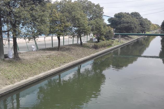 ˵��: IMG_20170207_125529